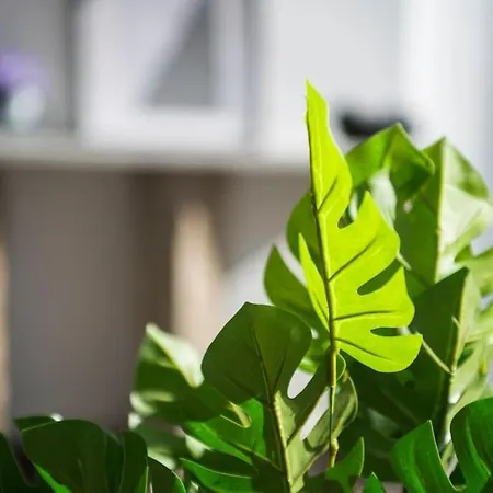 Stylish Duplex House With A Special Terrace Isztambul