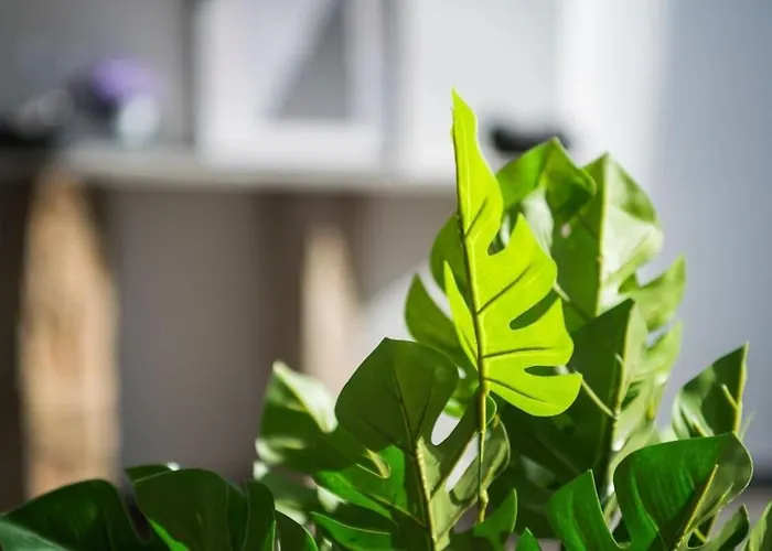 Stylish Duplex House With A Special Terrace Istanbulská provincie